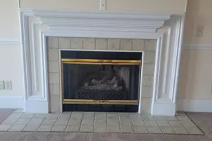 1441 Old Chapin Road 123, Lexington, SC 29072 - Photo 31