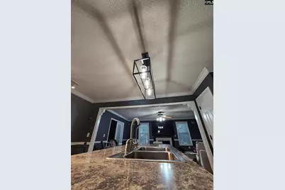 2418 Anderson Court, Elgin, SC 29045 - Photo 9