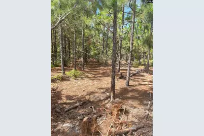 Ppf 6 Payne Pond Road Ppf 6 #PPF 6, Westville, SC 29175 - Photo 7