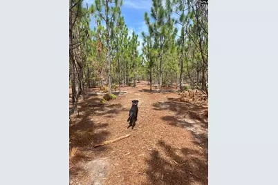 Ppf 6 Payne Pond Road Ppf 6 #PPF 6, Westville, SC 29175 - Photo 1