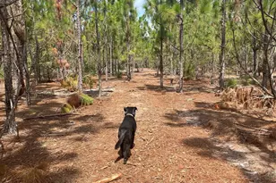 Ppf 6 Payne Pond Road Ppf 6, Westville, SC 29175 - Photo 1