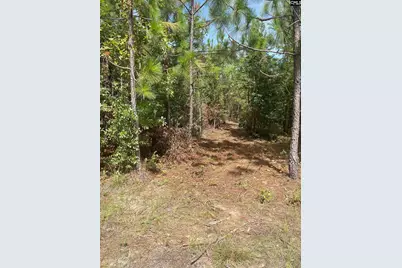 Ppf 8 Payne Pond Road #PPF 8, Westville, SC 29175 - Photo 5