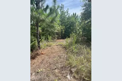 Ppf 8 Payne Pond Road #PPF 8, Westville, SC 29175 - Photo 11