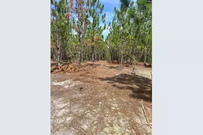 Ppf 8 Payne Pond Road #PPF 8, Westville, SC 29175 - Photo 9