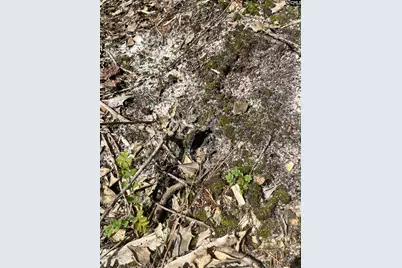 Ppf 8 Payne Pond Road #PPF 8, Westville, SC 29175 - Photo 13