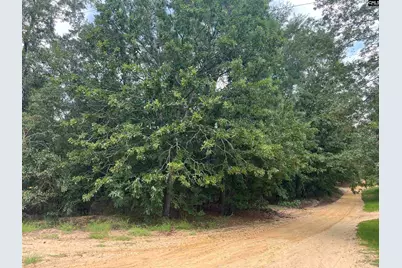 0 Cliff Road #3, Pelion, SC 29123 - Photo 23