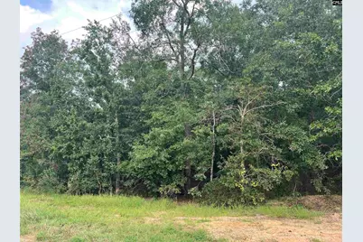 0 Cliff Road #3, Pelion, SC 29123 - Photo 1