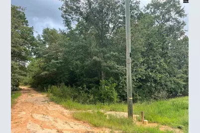 0 Cliff Road #3, Pelion, SC 29123 - Photo 3