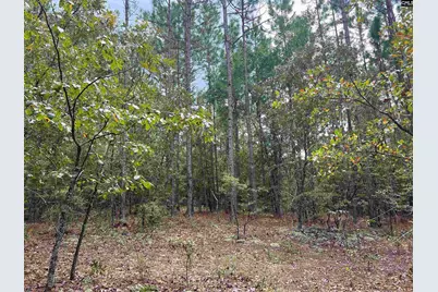 0 Cliff Road #3, Pelion, SC 29123 - Photo 9