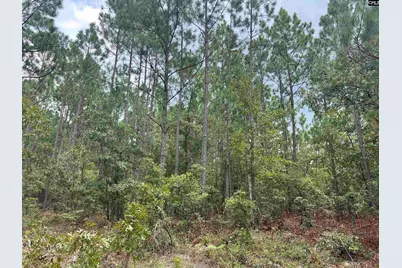 0 Cliff Road #3, Pelion, SC 29123 - Photo 11