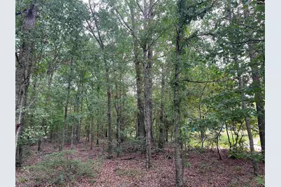 0 Cliff Road #3, Pelion, SC 29123 - Photo 21