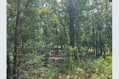 0 Cliff Road #3, Pelion, SC 29123 - Photo 17