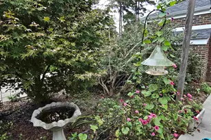 603 Skyland Dr, Columbia, SC 29210 - Photo 41