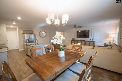 207 Nehemiah Road, Lexington, SC 29072 - Photo 3