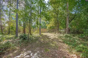 53 Strawberry Field Ln, Elgin, SC 29045 - Photo 33