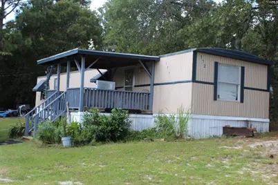 164 Dowd Drive, Gaston, SC 29053 - Photo 3