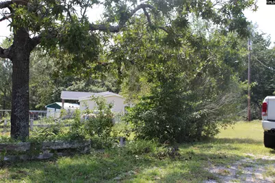 164 Dowd Drive, Gaston, SC 29053 - Photo 13