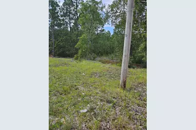 736 Bush Berry Road, Pelion, SC 29123 - Photo 5