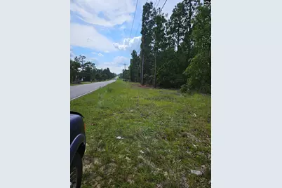 736 Bush Berry Road, Pelion, SC 29123 - Photo 3