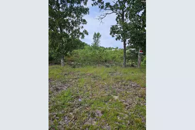 736 Bush Berry Road, Pelion, SC 29123 - Photo 1