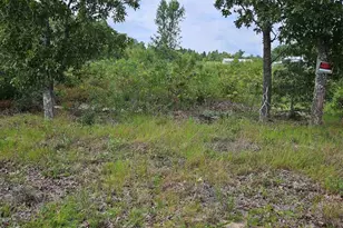 736 Bushberry Rd, Pelion, SC 29123 - Photo 1