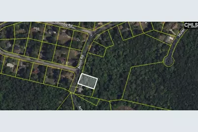 7110 Acton Road, Dalzell, SC 29040 - Photo 1