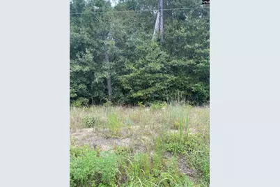 5445 Dubose Siding Road, Sumter, SC 29153 - Photo 3