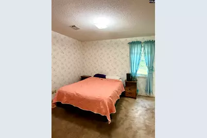 15 Marta Street, Bamberg, SC 29003 - Photo 7