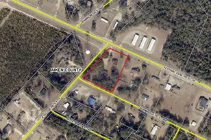 4412 Festival Trail Rd, Wagener, SC 29164 - Photo 15