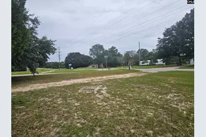 4412 Festival Trail Road, Wagener, SC 29164 - Photo 11