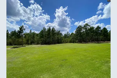 139 Cross Road, Lexington, SC 29073 - Photo 5