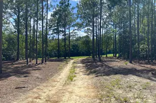 139 Cross Rd, Lexington, SC 29073 - Photo 37