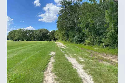 139 Cross Road, Lexington, SC 29073 - Photo 41