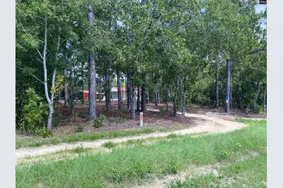 139 Cross Road, Lexington, SC 29073 - Photo 39