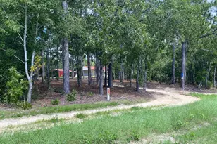 139 Cross Rd, Lexington, SC 29073 - Photo 39