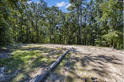 5047 Percival Road, Elgin, SC 29045 - Photo 3