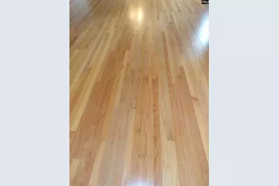 302 Baskin Avenue, Bishopville, SC 29010 - Photo 9