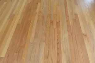 302 Baskin Ave, Bishopville, SC 29010 - Photo 9