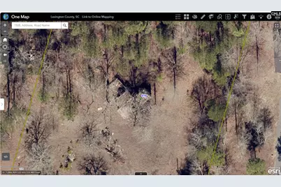 819 Lee Gunter Road, Leesville, SC 29070 - Photo 3