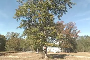 819 Lee Gunter Rd, Leesville, SC 29070 - Photo 1