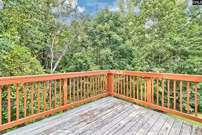 715 Soldier Gray Lane, Chapin, SC 29036 - Photo 45