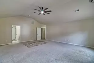 715 Soldier Gray Ln, Chapin, SC 29036 - Photo 21