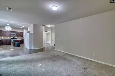 715 Soldier Gray Lane, Chapin, SC 29036 - Photo 17