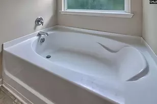 715 Soldier Gray Ln, Chapin, SC 29036 - Photo 23