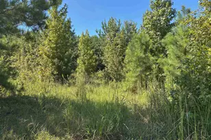 1008 Langford Rd, Blythewood, SC 29016 - Photo 1