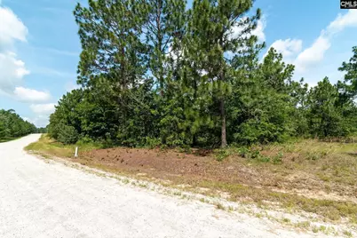 236 Hound Hollow Drive, Camden, SC 29020 - Photo 5