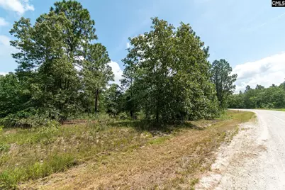 216 Hound Hollow Drive, Camden, SC 29020 - Photo 5