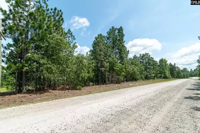 216 Hound Hollow Drive, Camden, SC 29020 - Photo 5