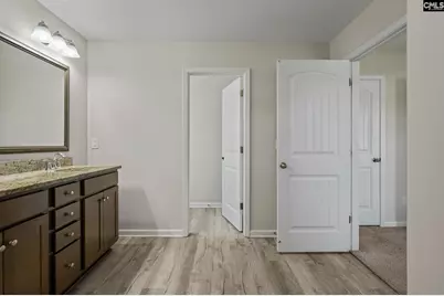 333 Wahoo Circle, Irmo, SC 29063 - Photo 21