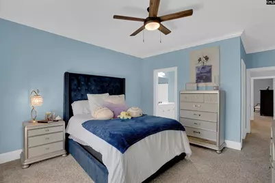 149 Lakeport Drive, Chapin, SC 29036 - Photo 39